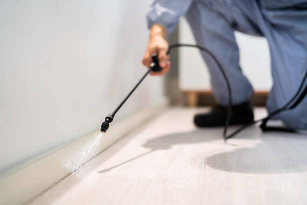 Licensed Pest Control service in Macomb, IL - Nex Pest Control