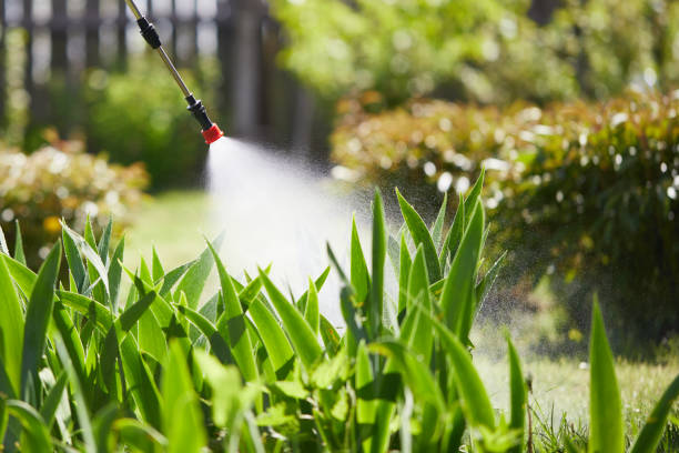 24/7 Emergency Pest Control experts in Macomb, IL